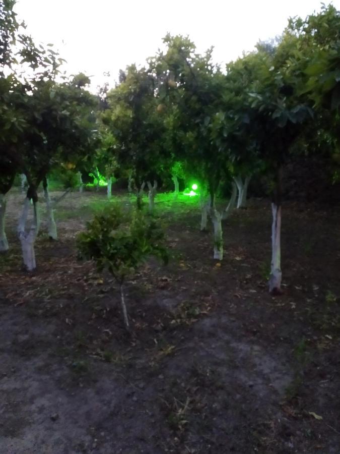 Περιβόλι Του Οδυσσέα Villa Volissos Bagian luar foto